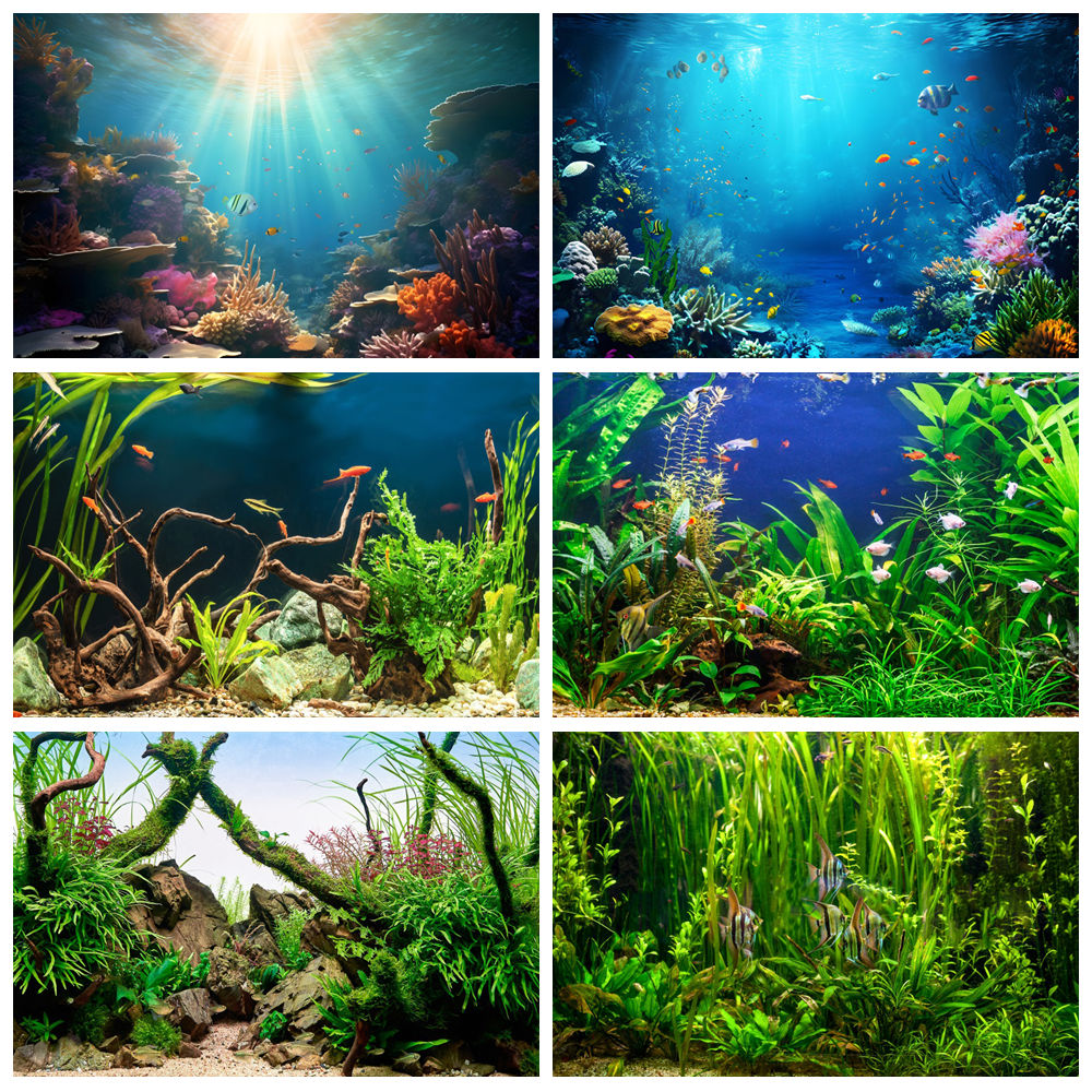 Aquarium Marine World - Di bawah laut dasar laut fotografi