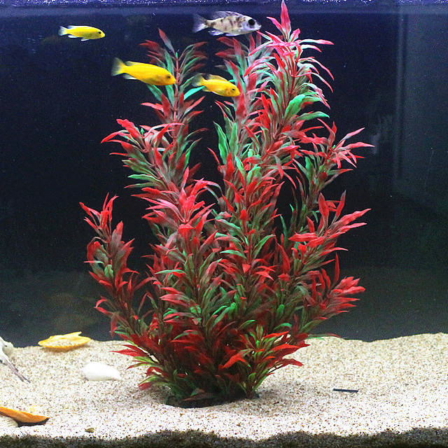 Marine Fish Tank - 50CM Kolam Ikan Buatan Tanaman Langka