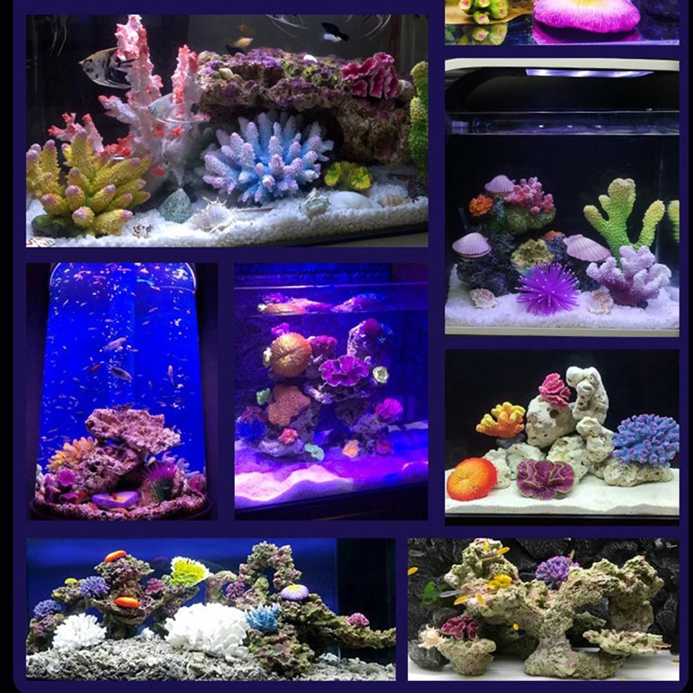 Model Karang Buatan Resin untu - Marine Coral ulasan dan harga