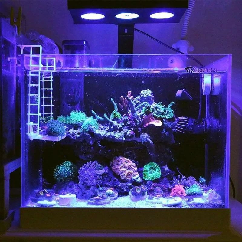 Lampu Akuarium LED Spectra Nan - Reef Lighting ulasan dan harga