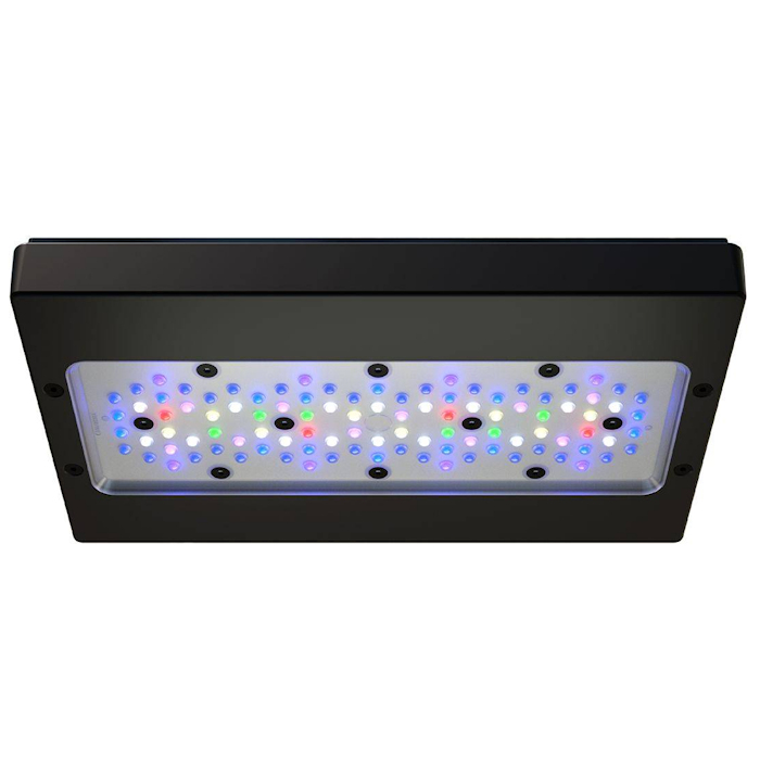 Lampu LED Akuarium Terumbu Kar - Reef Lighting ulasan dan harga