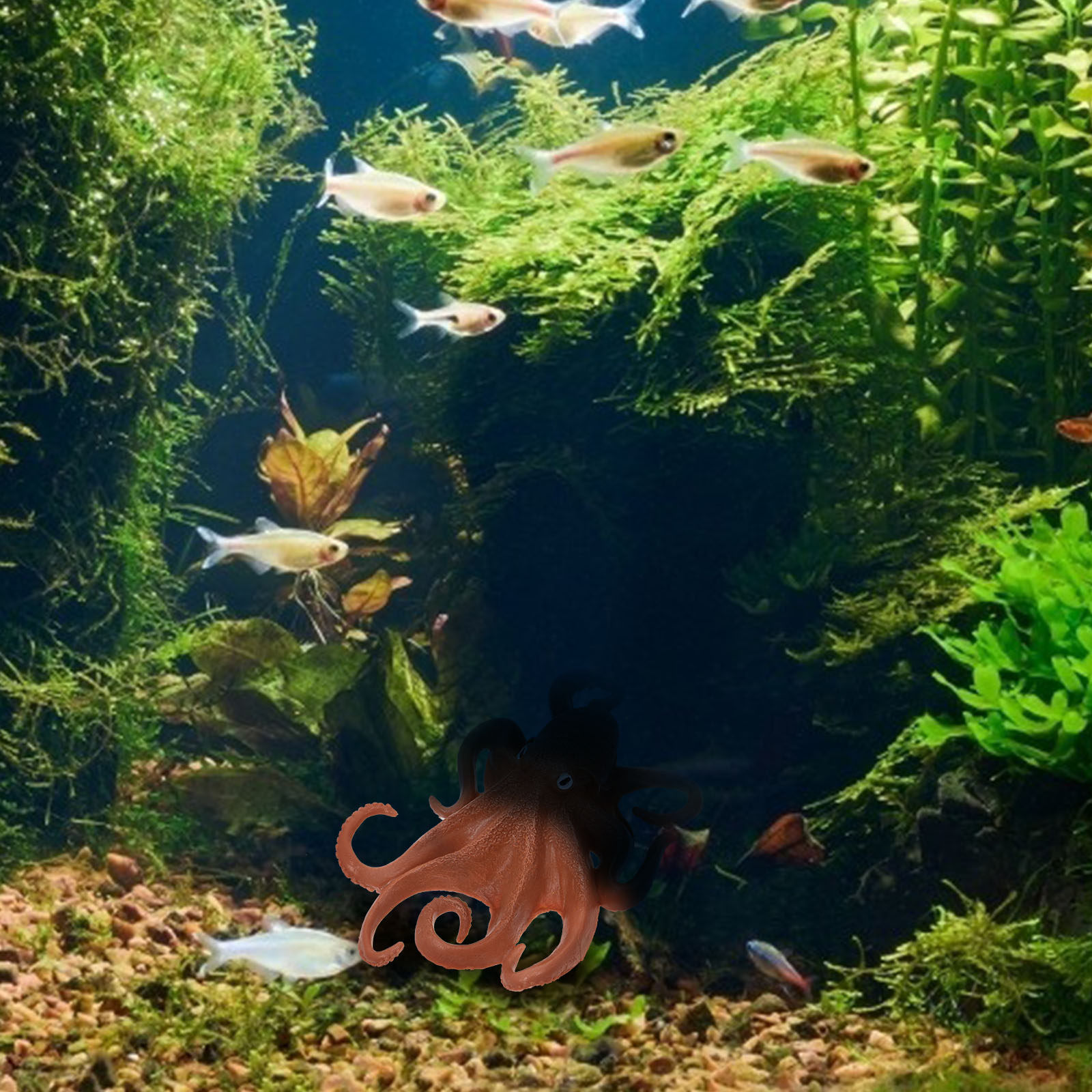 1 buah Dekorasi Plastik Bentuk - Ocean Aquarium ulasan dan harga